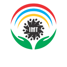 Intelligent Minds Trust - Logo